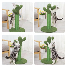 Rascador para gatos cactus – Diseño único en sisal para rascar y jugar