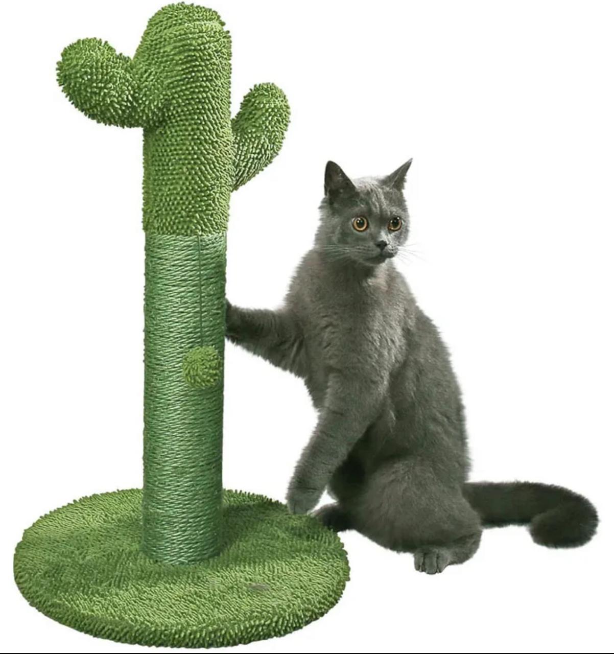 Rascador para gatos cactus – Diseño único en sisal para rascar y jugar